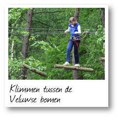 Klimmen tussen de Veluwse bomen