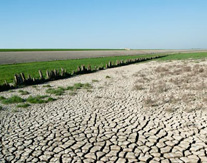 Landschapsfotografie Noord-Friesland