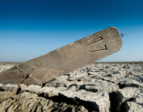 Workshop Fotografie op het Wad