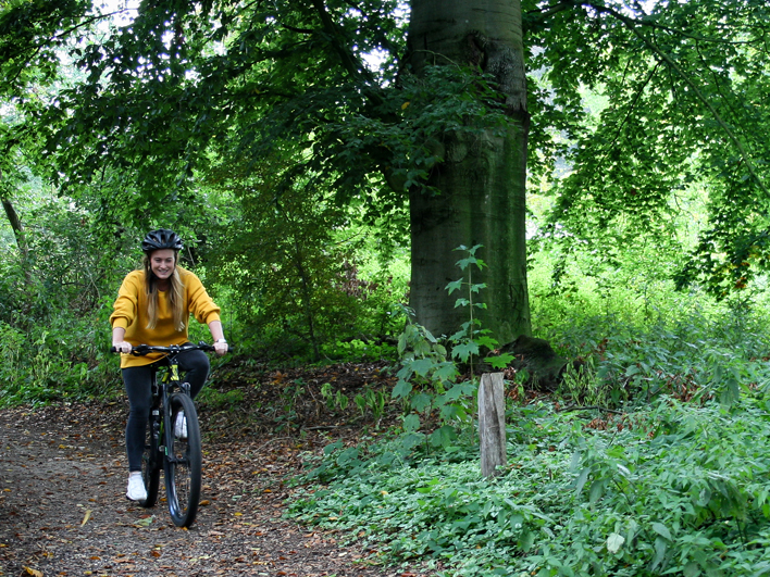 Mountainbiken op de Veluwe