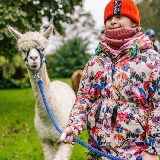 Een unieke Alpaca Experience