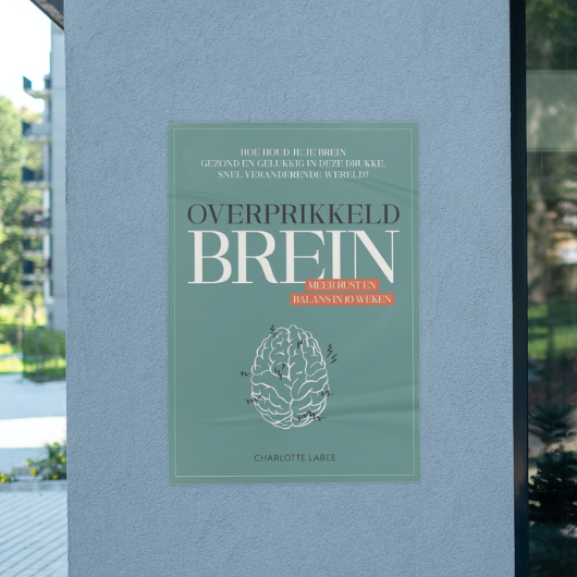 Boek Overprikkeld brein