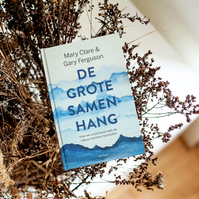 De grote samenhang